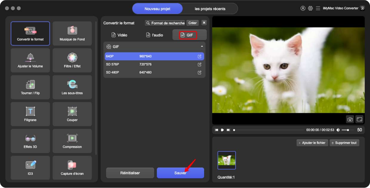 Convertir MPV en GIF avec iMyMac Video Converter