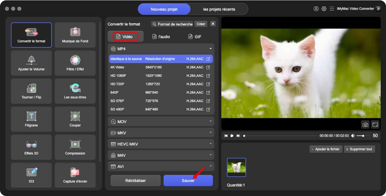 Meilleur convertisseur FLV en MKV