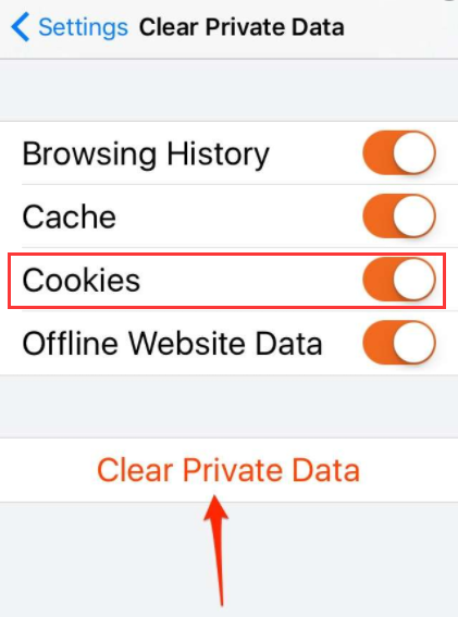 Effacer les cookies dans Firefox sur iPhone