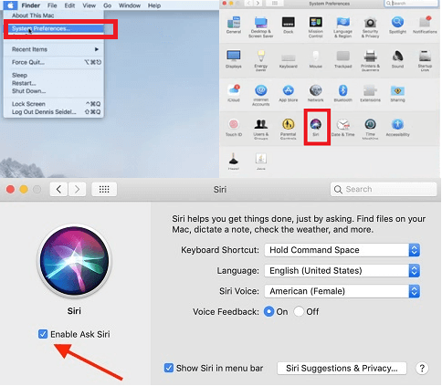 Comment désactiver Siri sur Mac