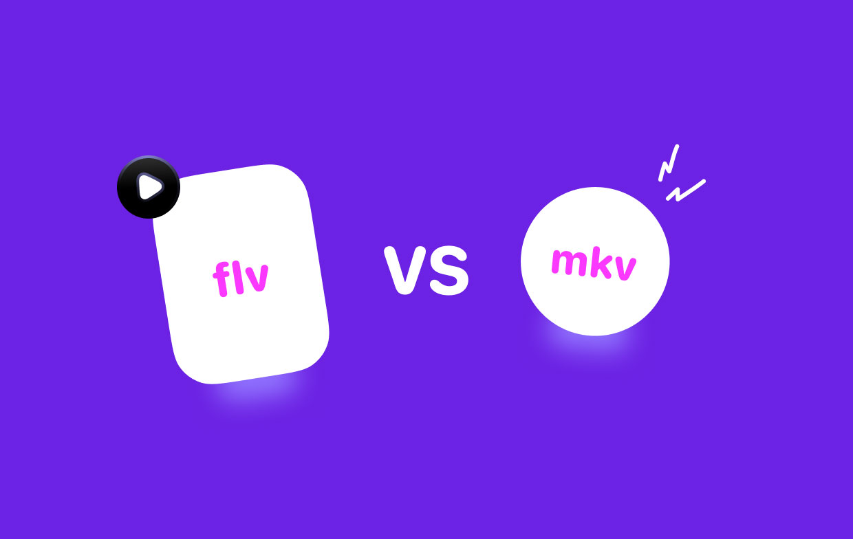 FLV contre MKV