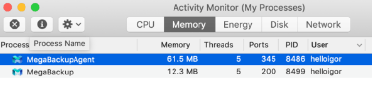 Suppression de MegaBackup sur votre moniteur d'activité (Mes processus)