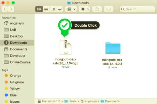 Installer MangoDB sur Mac
