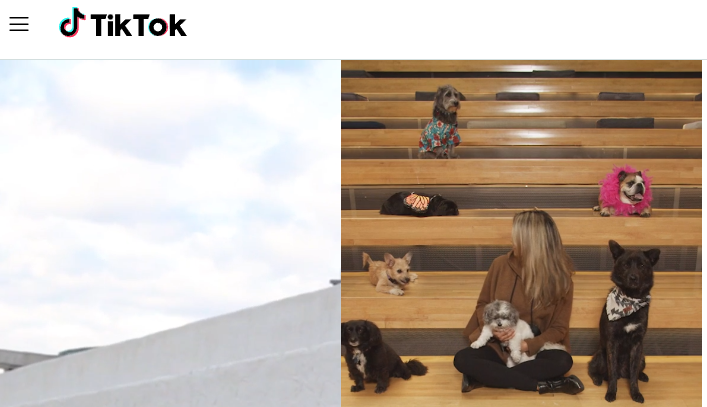 Plateforme de streaming de jeux en ligne gratuite - TikTok