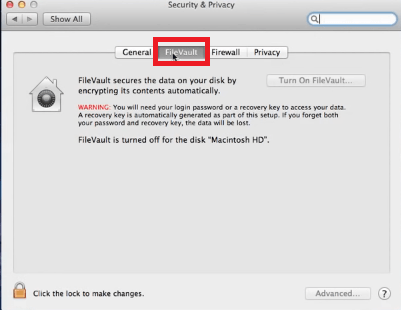 Cliquez sur FileVault