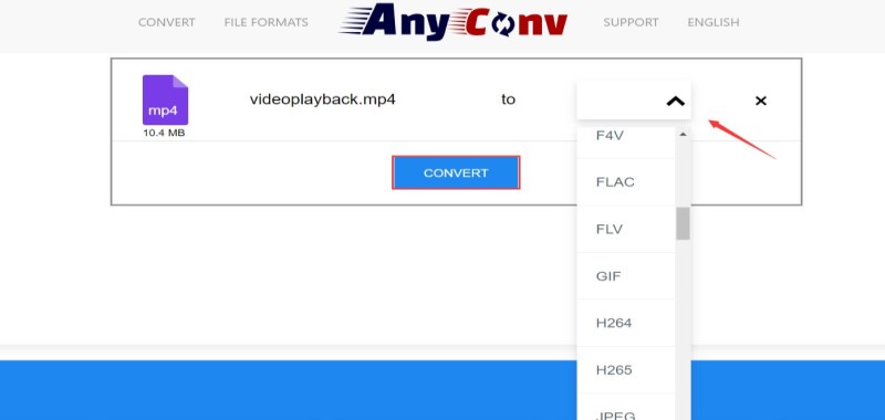 Convertisseur DAT en ligne AnyConv