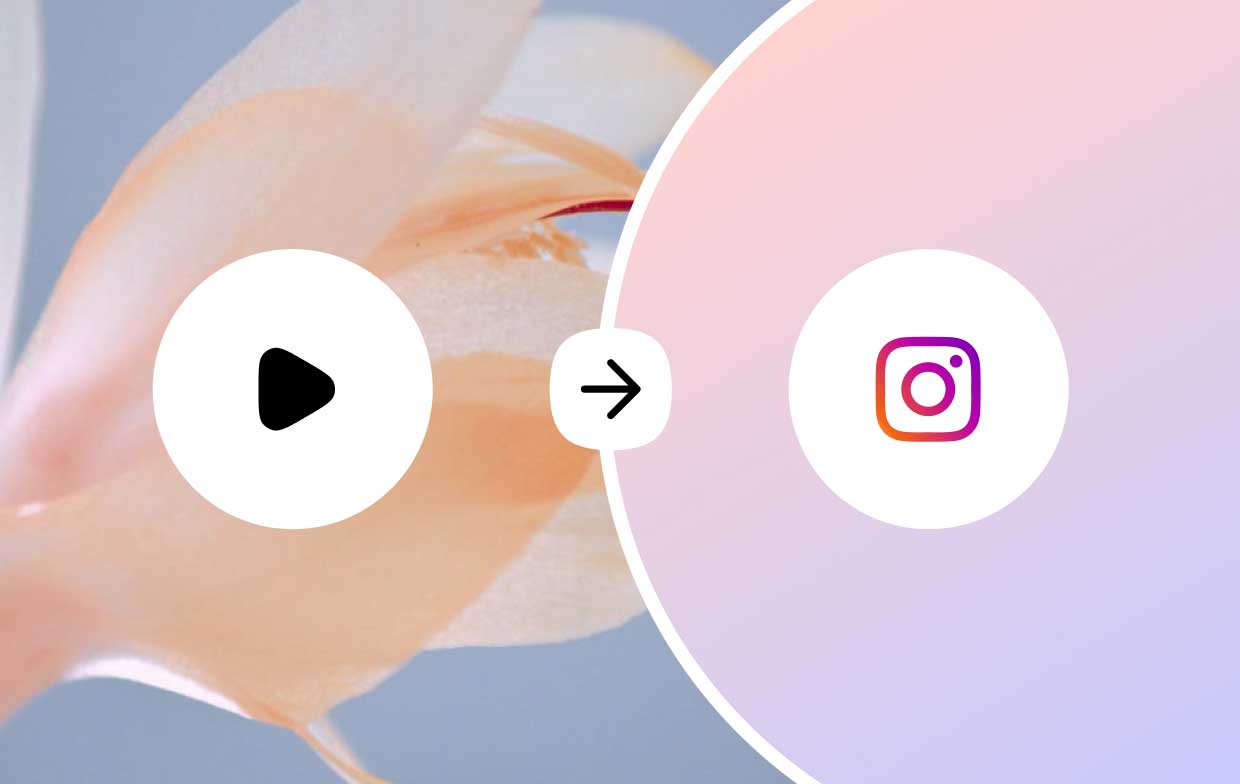 Comment convertir une vidéo au format Instagram