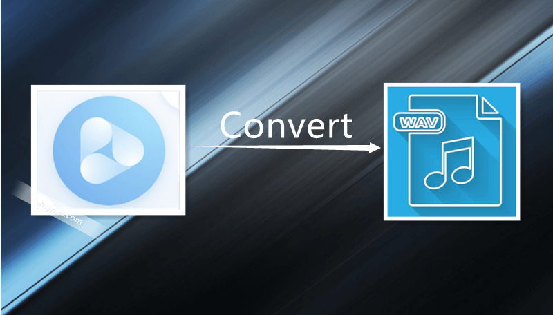 Convertir la vidéo en WAV