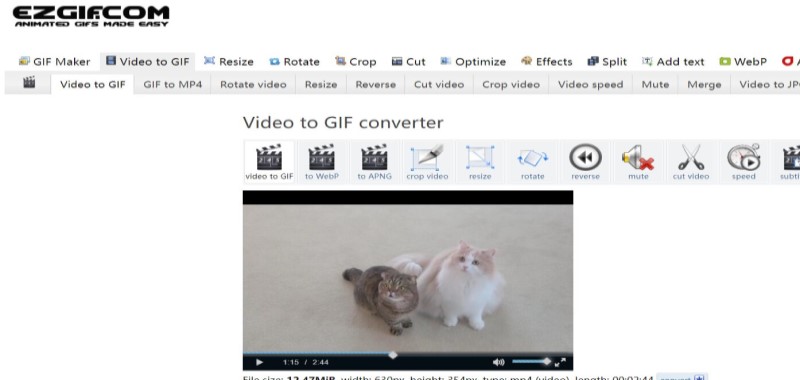 Convertisseur FLV en GIF en ligne