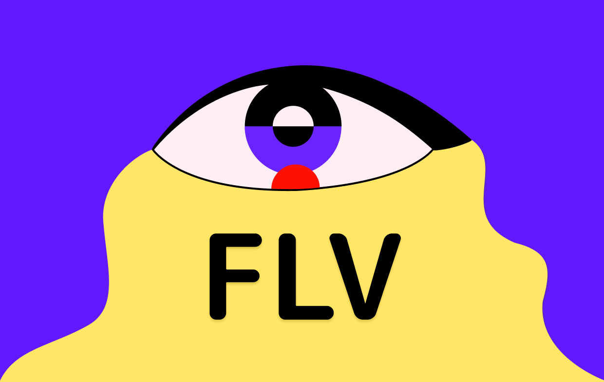 Quel est le meilleur convertisseur FLV