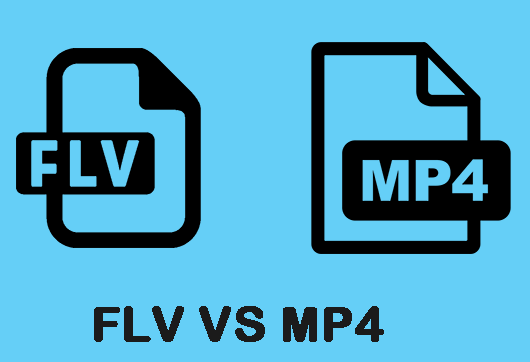 FLV contre MP4