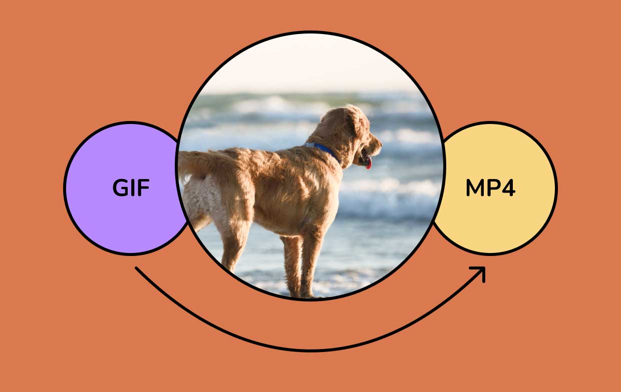 Comment convertir GIF en MP4