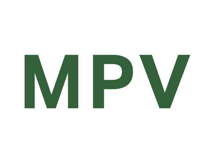 Le meilleur convertisseur MPV